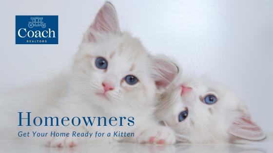 Bringing Home a New Pet - Homeowners - Coach Realtors