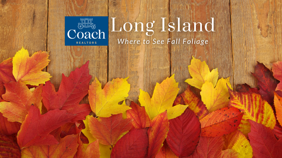 Fall Foliage Around Long Island - Coach Realtors